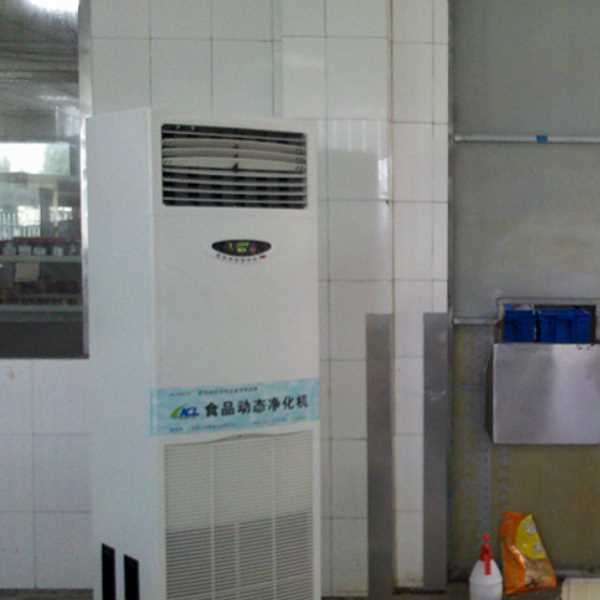 恩施食品智能空气杀菌器
